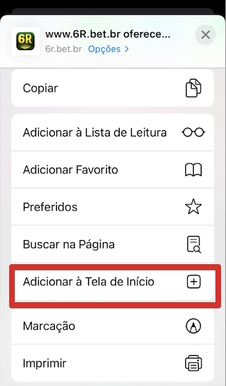 Role pelas opções e selecione Adicionar à Tela de Início