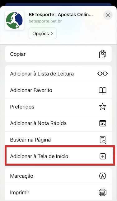Como baixar o Betesporte app para iOS passo 3